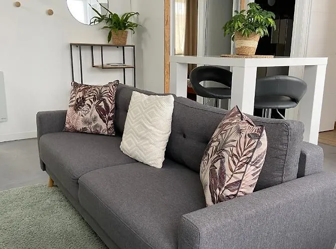 Appartement T2 Proche De La Gare Bourg En Bresse